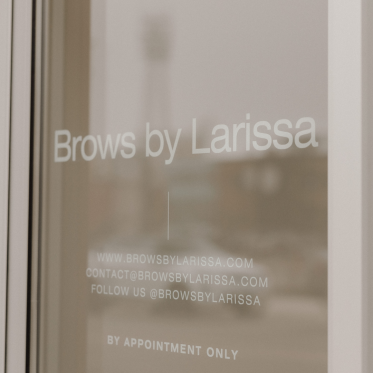 Brows by Larissa